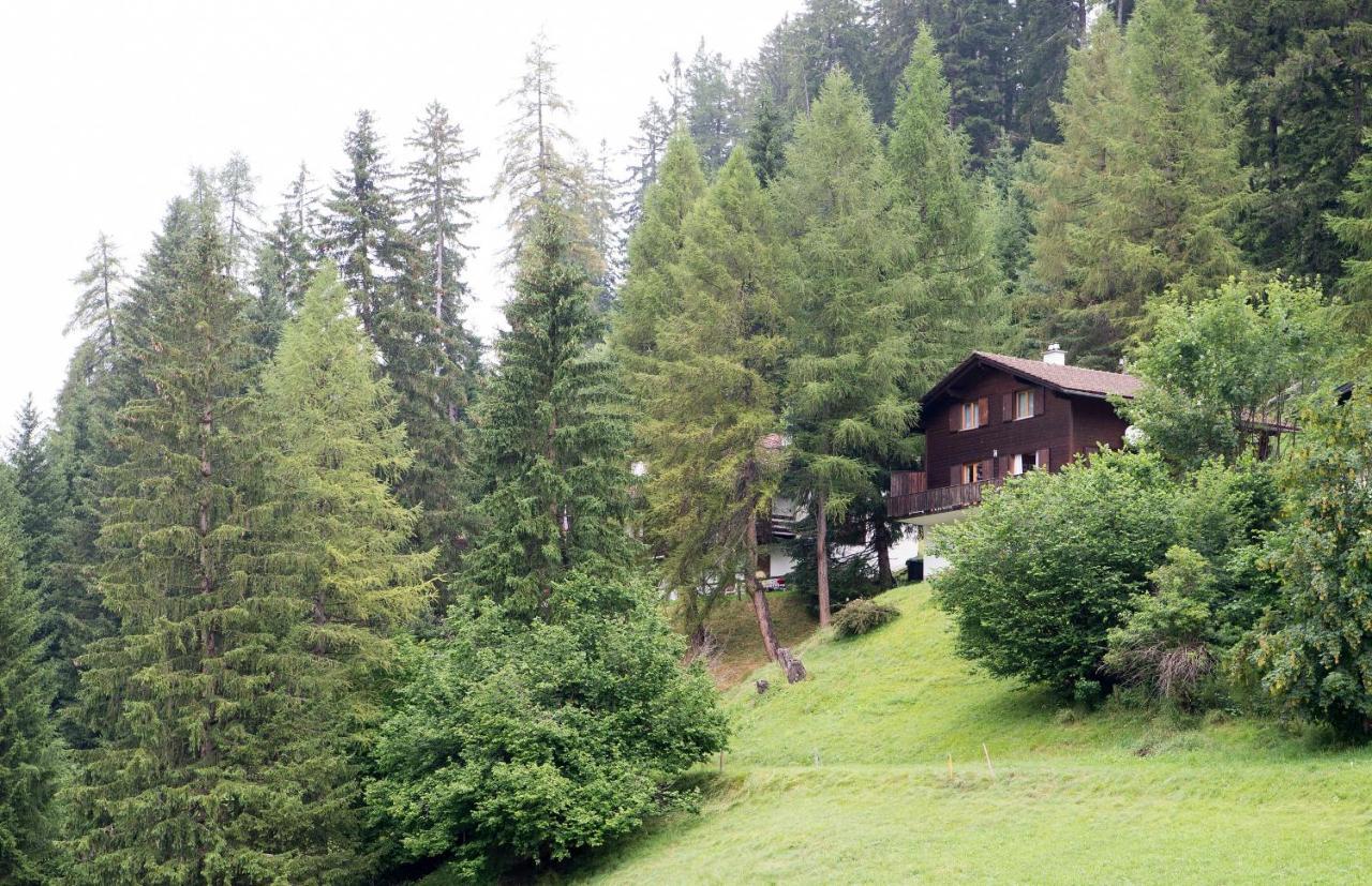 5 Room House Joch Churwalden- Lenzerheide エクステリア 写真
